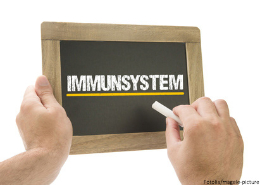 Immunsystem Kreidetafel CR