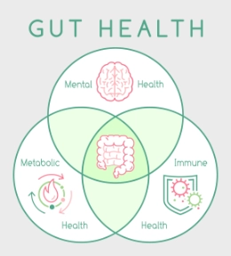 Gut Health
