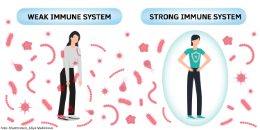 weak vs strong immunsystem Liliya Mukhitova WEB CR xs