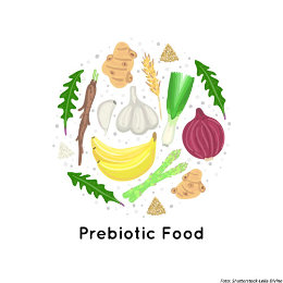 Prebiotic Food Leila Divine CR xs