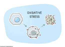 Oxidativer Stress WEB CR xs