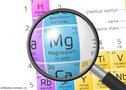 Element of Magnesium CR xs