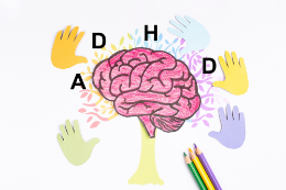 ADHS Gehirn