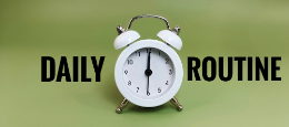 daily routine