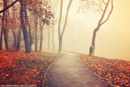 Herbstlandschaft Marina Zezelina CR