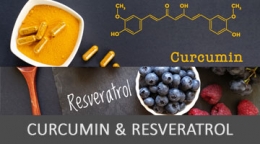 3 Onlineseminare „Gesundheit Spezial“ Teil-2