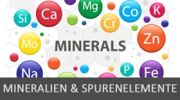 OS 12 | Mineralien & Spurenelemente unter der Lupe (31.10.2022)