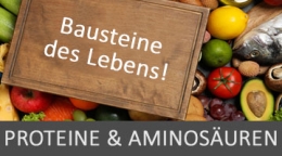 OS 10 | Proteine & Aminosäuren – Bausteine des Lebens! (26.09.2022)